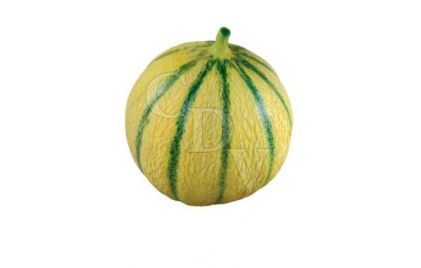 E-Liquide Melon - 5ml