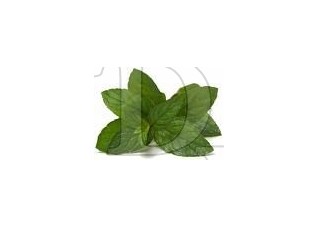 E-Liquide Menthol  30ml VG